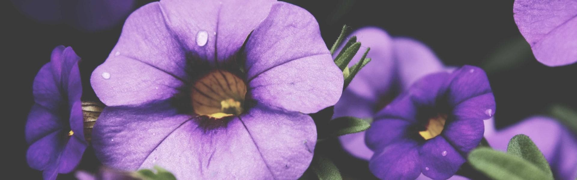 AmorePacific Headquarters