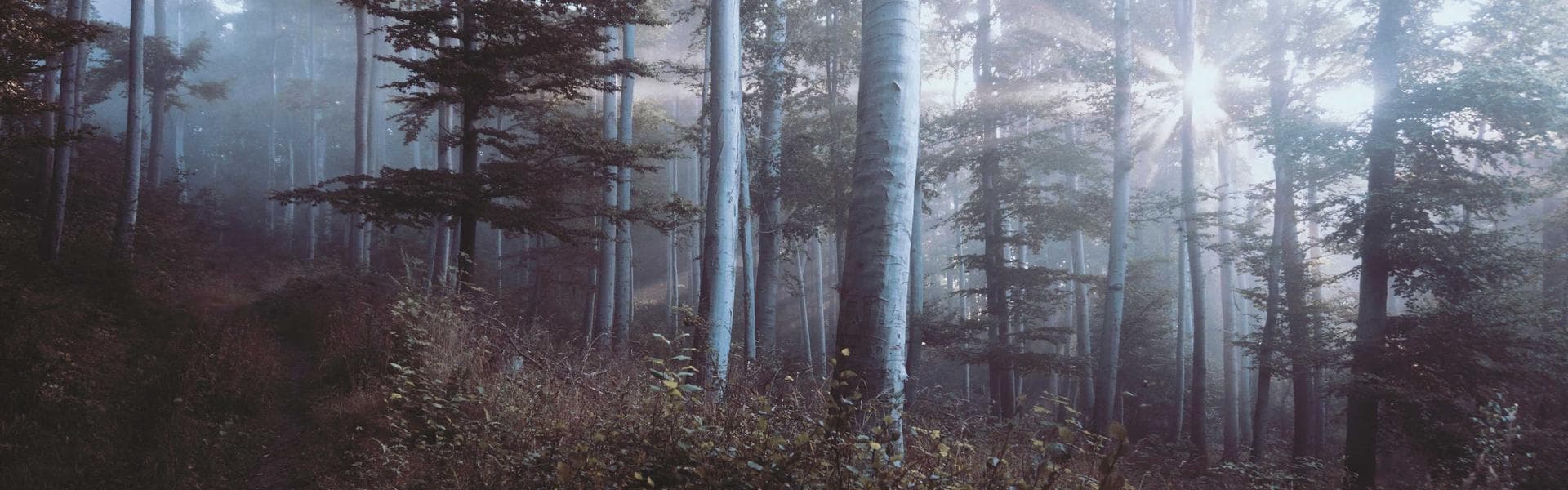 Shinsegae Department Store